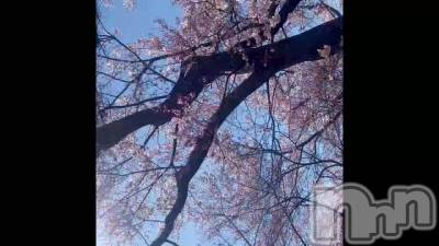 🌸