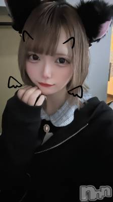 Įˤ륹ʥå륺Сconcept bar Citron(󥻥ץȥСȥ)פΥ㥹ȡ֤꤫פξҲ