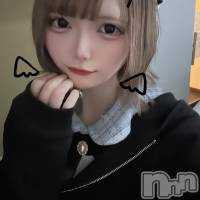 ꤫(21) Ĺ154cmĮʥå륺С concept bar Citron(󥻥ץȥСȥ)ҡ