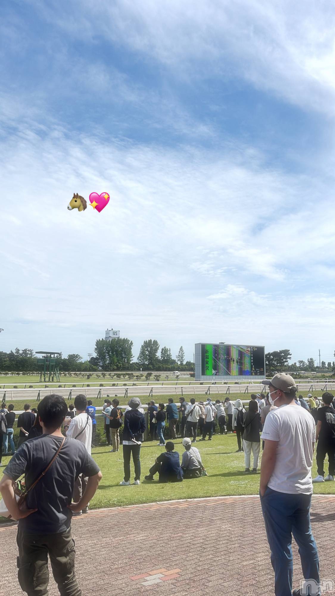 ʥå륺СաɥСӥ٥˥塼 2024ǯ521̥֥֤Ϥ🐴💖