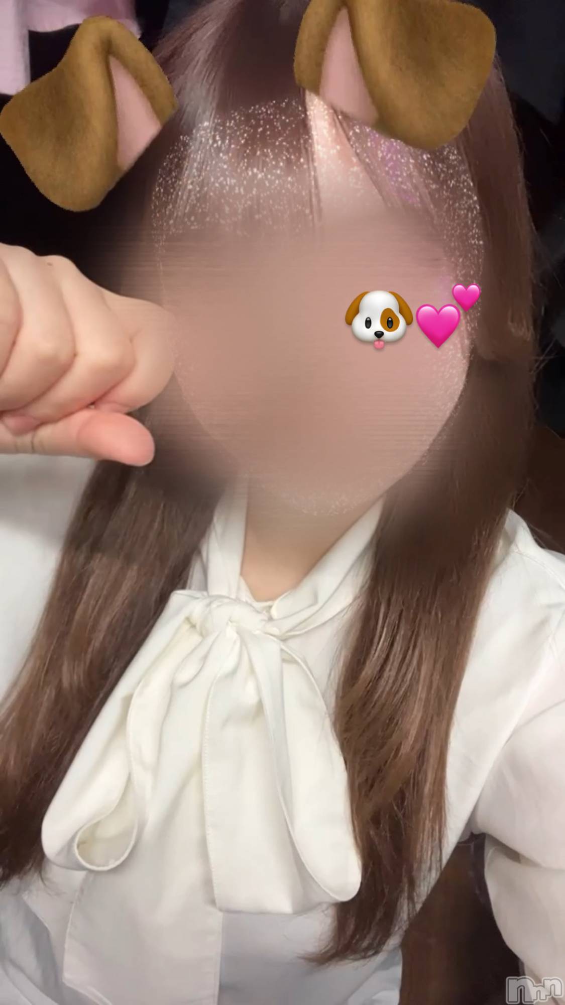 ʥå륺СաɥСӥ٥˥塼 2024ǯ521̥֥🐶💕