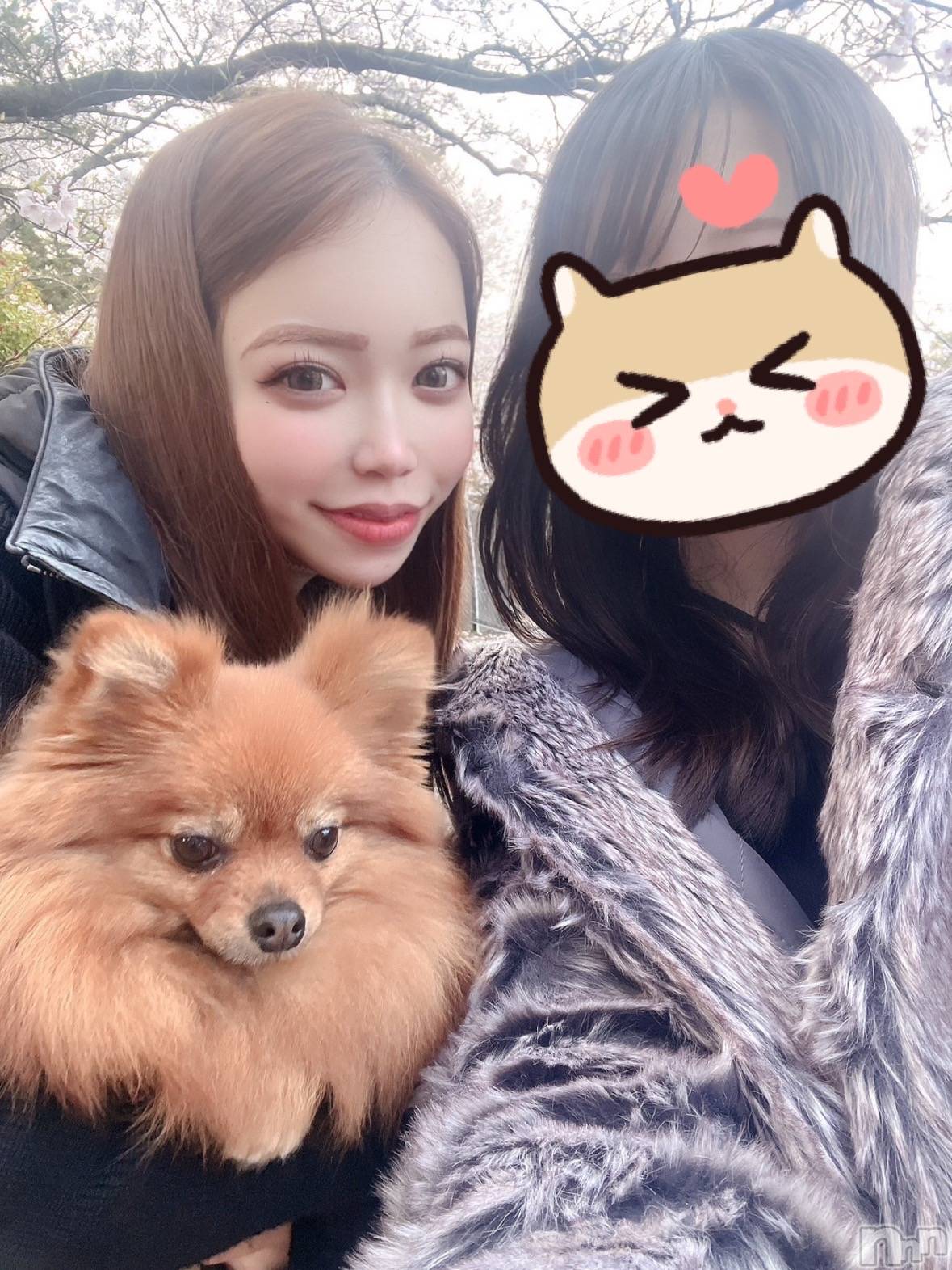 Х顦Lune LYNX(롼󥯥) 2025ǯ413̥֥֤ͧȤ🐶3ͤǸǡ🌸‎🤍🎶✨️