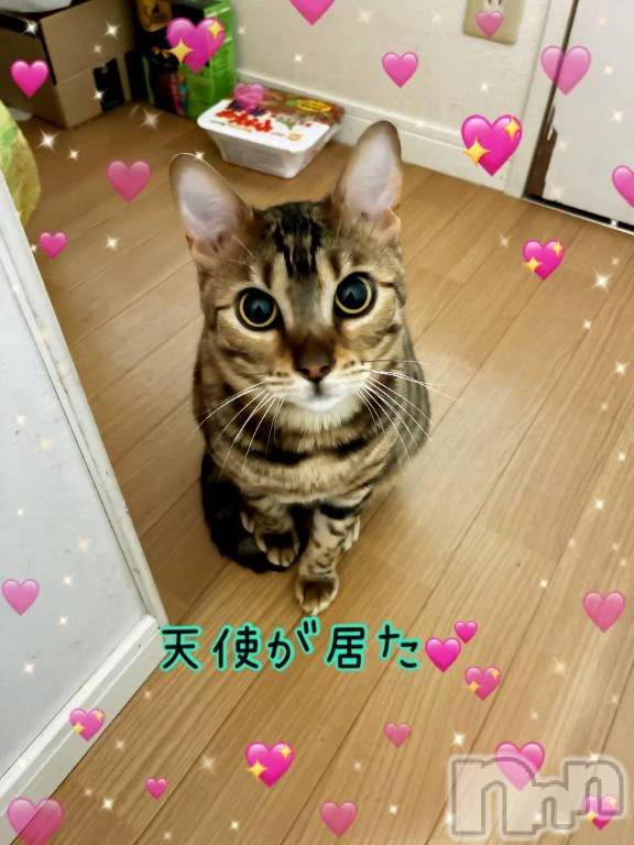 新潟デリヘル熟女の風俗 最終章(ジュクジョノフウゾクサイシュウショウ) みま(45)の11月2日写メブログ「お礼💌」