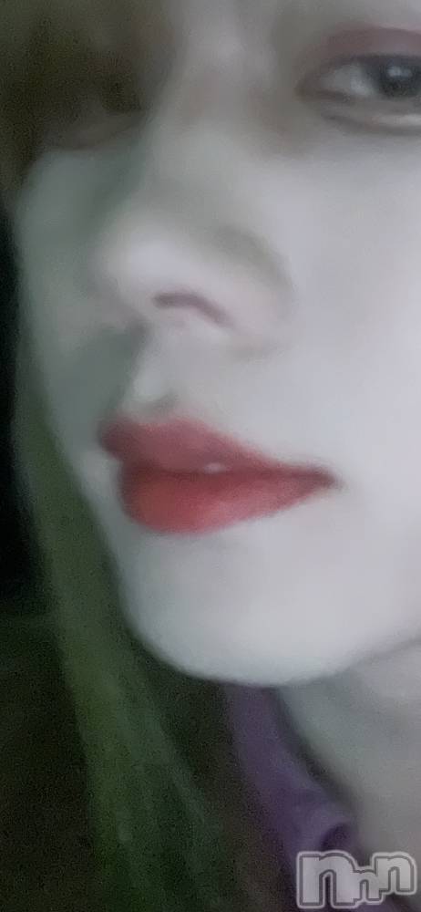ĮۥȡܡСA151(ݥ) ֡ͺ ˱1120̥֥ݤ졢жФǤ