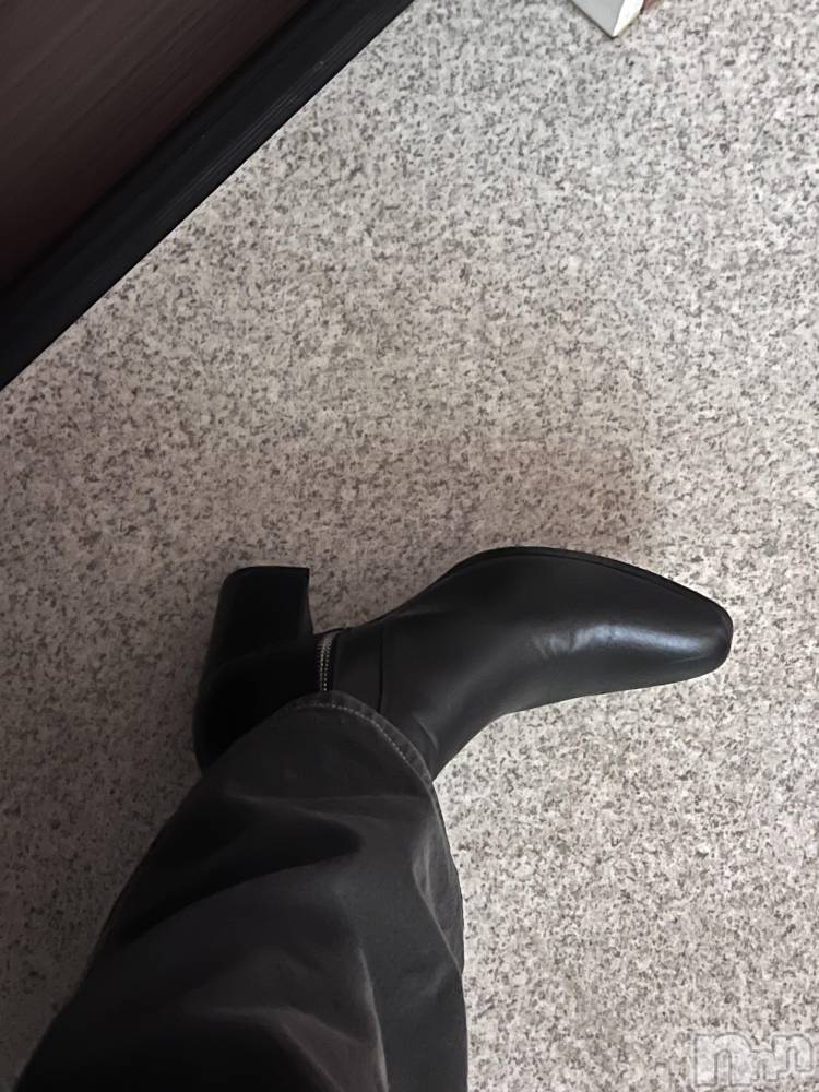 ĮۥȡܡСA151(ݥ) ֡ͺ ˱1213ֽ̥֥жнжнжнжнжнжнжнжС