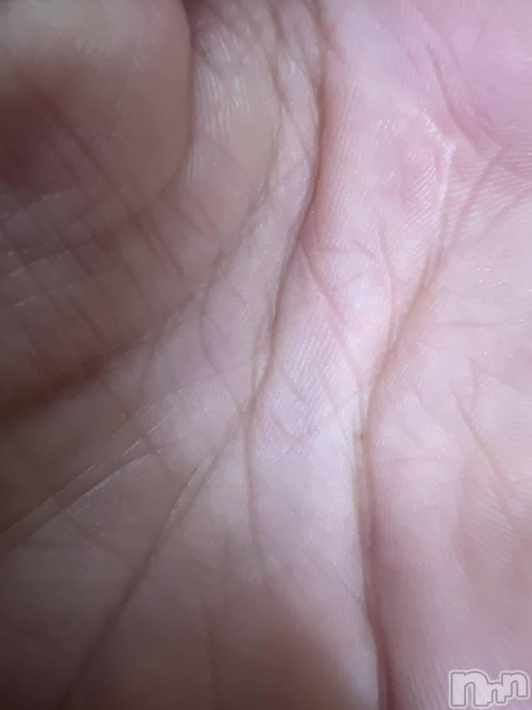 ĮۥȡܡСA151(ݥ) ֡ͺ ˱1218ֽ̥֥жмжС