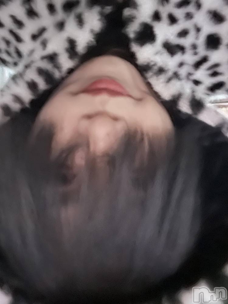ĮۥȡܡСA151(ݥ) ֡ͺ ˱1219ֽ̥֥жнжнжС