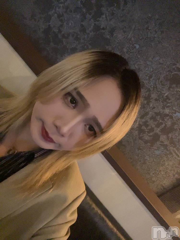 ĮۥȡܡСA151(ݥ) ֡ͺ ˱1031̥֥֥٥ȡ