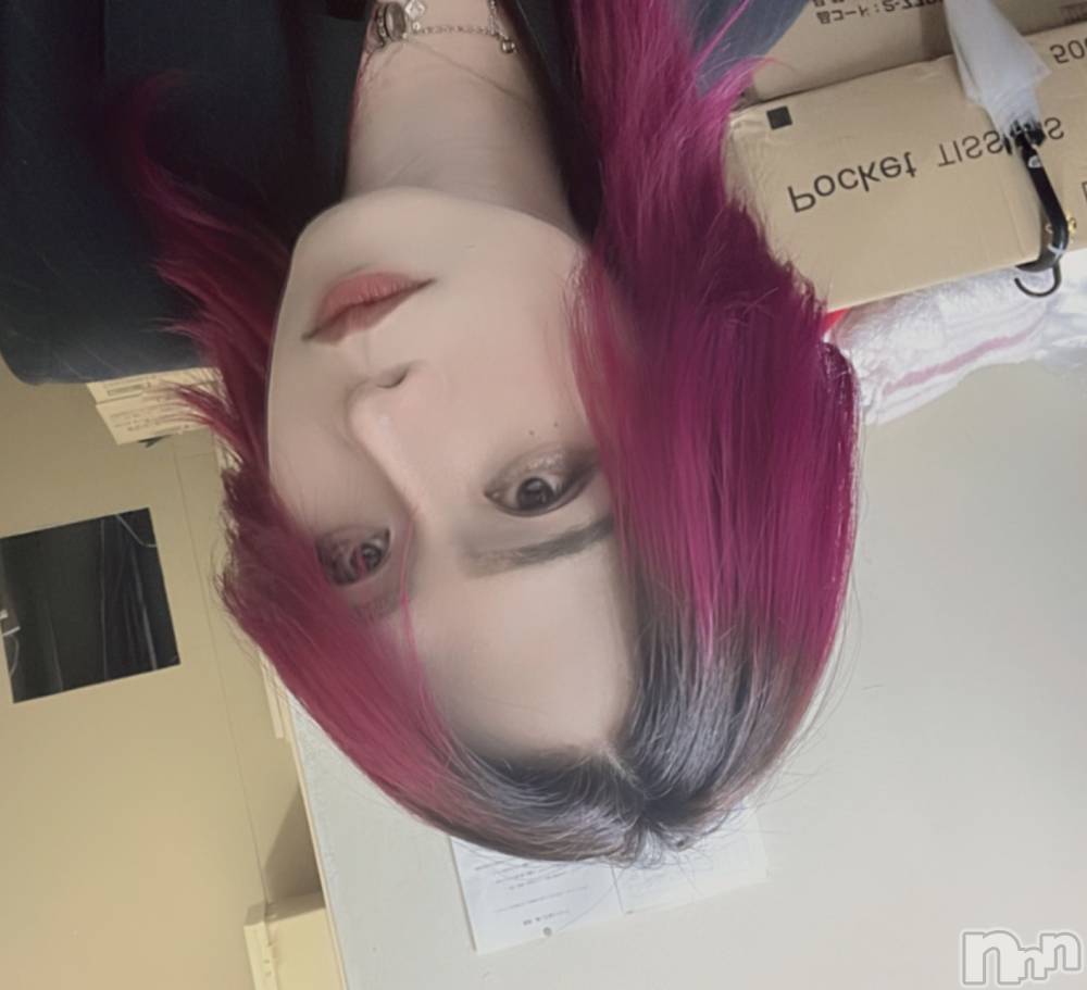 ĮۥȡܡСA151(ݥ) ֡ͺ ˱123ֽ̥֥нꤷޤ