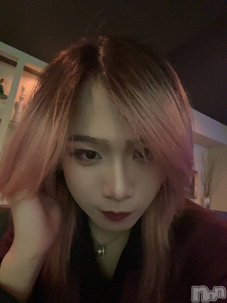 ��Į�ۥ��ȡ��ܡ������С�A151(�����������ݥ���) �֡�ͺ ˱����12��17���̥�֥�����19�������ץ��