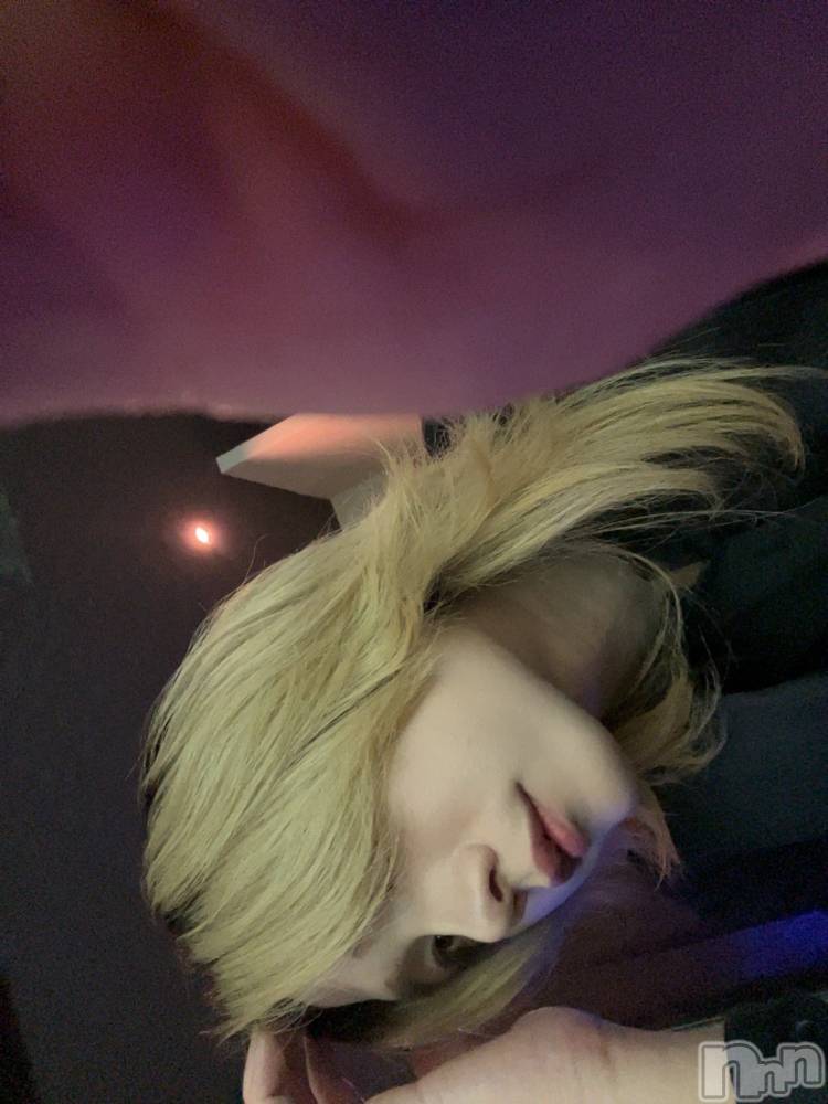 ��Į�ۥ��ȡ��ܡ������С�A151(�����������ݥ���) �֡�ͺ ˱����1��22���̥�֥�����19�������ץ��