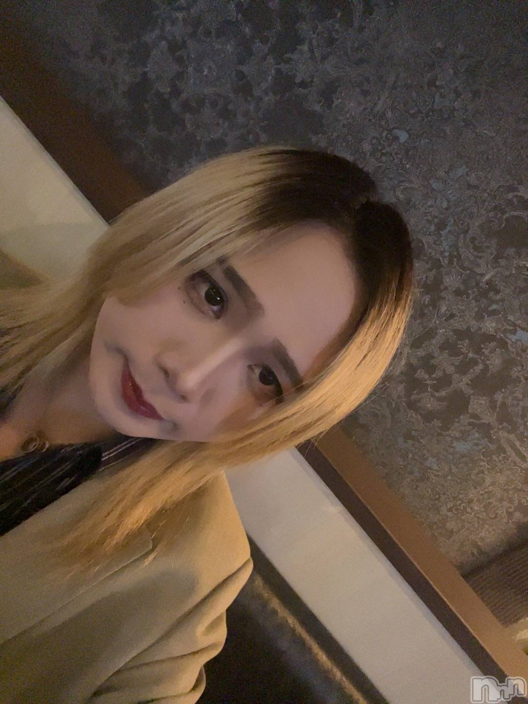 ĮۥȡܡСA151(ݥ) 2025ǯ1031̥֥֥٥ȡ