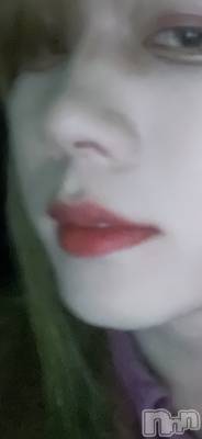 ĮۥȡܡСA151(ݥ) ֡ͺ ˱1120̥֥ݤ졢жФǤ