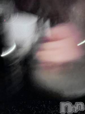 ĮۥȡܡСA151(ݥ) ֡ͺ ˱1212̥֥֤쥦 жнжнжнжнжнжнжнжнжнжнжнжС
