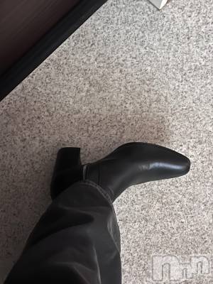 ĮۥȡܡСA151(ݥ) ֡ͺ ˱1213ֽ̥֥жнжнжнжнжнжнжнжС