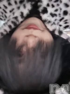 ĮۥȡܡСA151(ݥ) ֡ͺ ˱1219ֽ̥֥жнжнжС