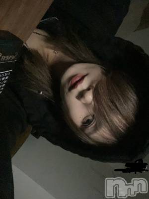 ĮۥȡܡСA151(ݥ) ֡ͺ ˱37ֽ̥֥жФǤ