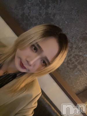 ĮۥȡܡСA151(ݥ) ֡ͺ ˱1031̥֥֥٥ȡ