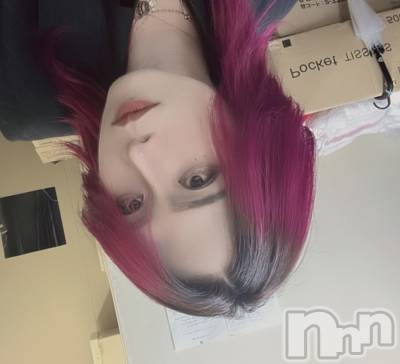 ĮۥȡܡСA151(ݥ) ֡ͺ ˱123ֽ̥֥нꤷޤ