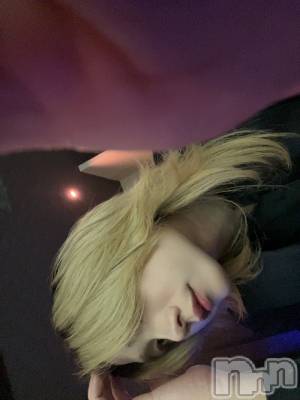 ��Į�ۥ��ȡ��ܡ������С�A151(�����������ݥ���) �֡�ͺ ˱����1��22���̥�֥�����19�������ץ��