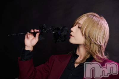 ��Į�ۥ��ȡ��ܡ������С�A151(�����������ݥ���) �֡�ͺ ˱����8��2���̥�֥����ֽжС�