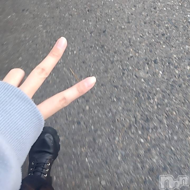 ʥå륺С饪աɥС Mimi(饪աɥС ߥ) 2024ǯ523̥֥ƴΥ١ǥӥ塼🎶✨