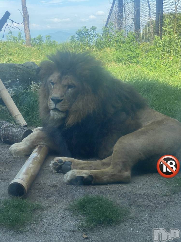 ĮХ顦֥ ץ ( ץ ) 줤626̥֥🦁