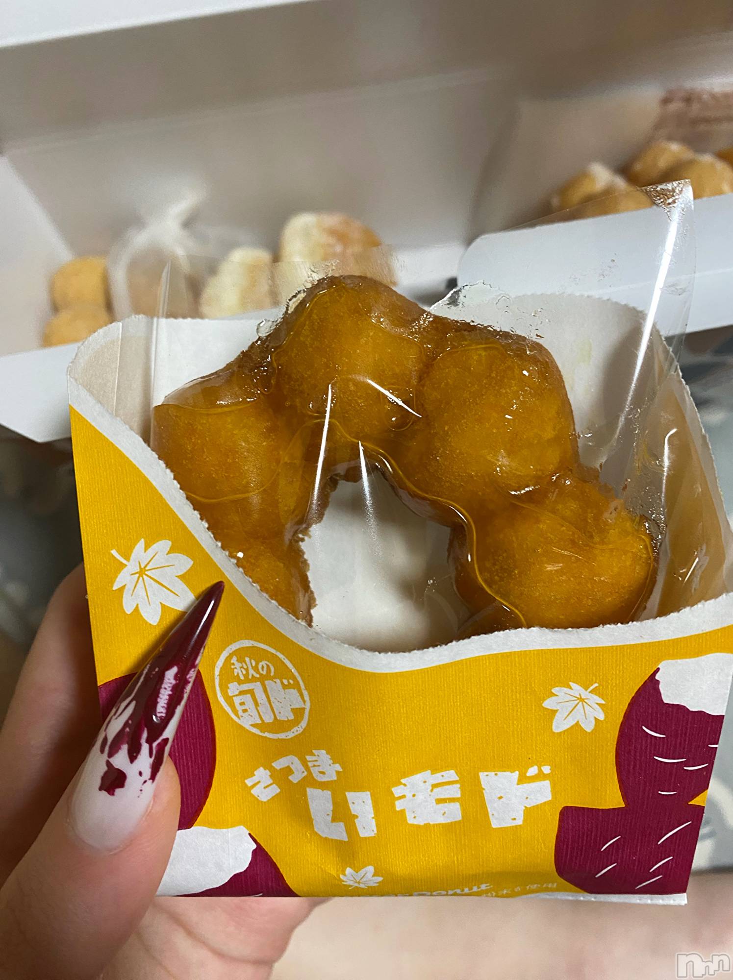 ĮХ顦֥ ץ ( ץ ) 2024ǯ926̥֥🍠