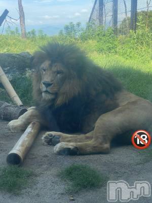 ĮХ顦֥ ץ ( ץ ) 줤(22)626̥֥🦁