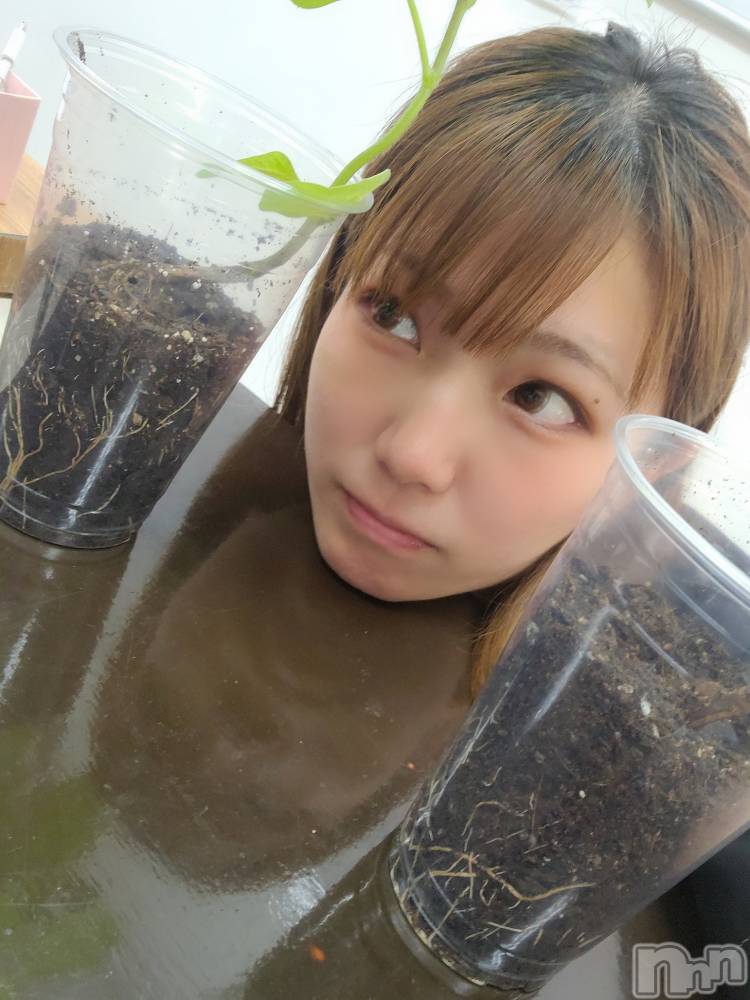 åȥСȥ졡襤襤(ȥҥС磻磻) (⤨ޥ)613̥֥ĤΡ