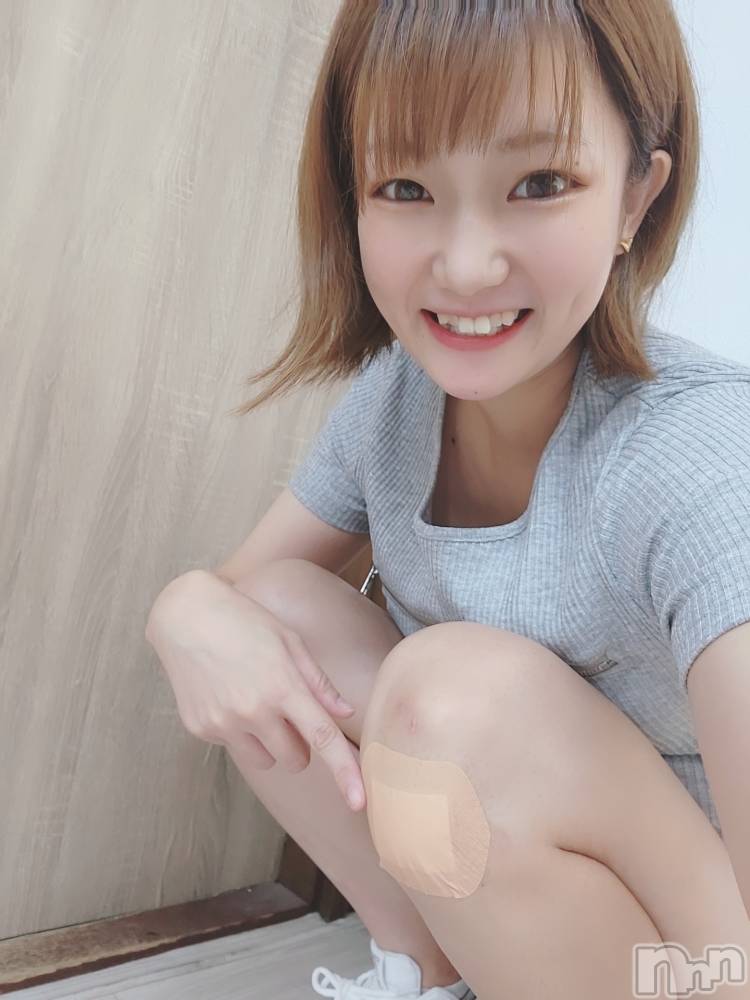 ȯѥ˥󥯥֥ϥ饹ѡץ쥸(ϥ饹ѥץ쥸) ʤ817ְ̥֥Фä🩹