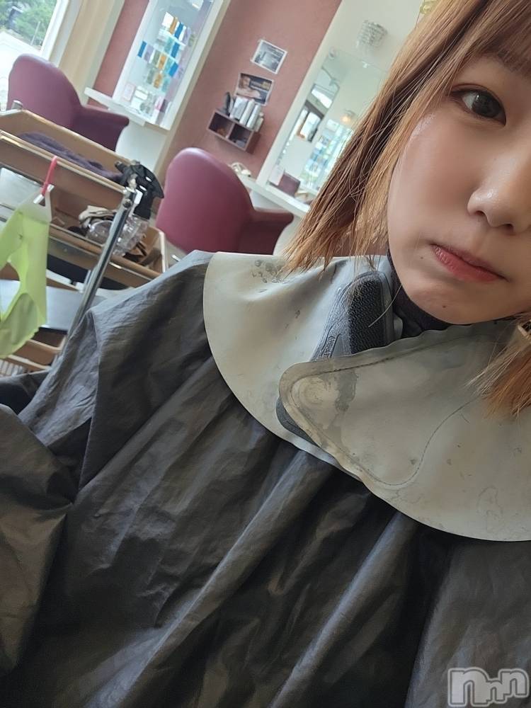 �����������������åȥС���ȥ����졡�襤�襤(��ȥ��ҥ��С��磻�磻) ���ʤ�7��13���̥�֥����֤פ�󤬤ʤ����