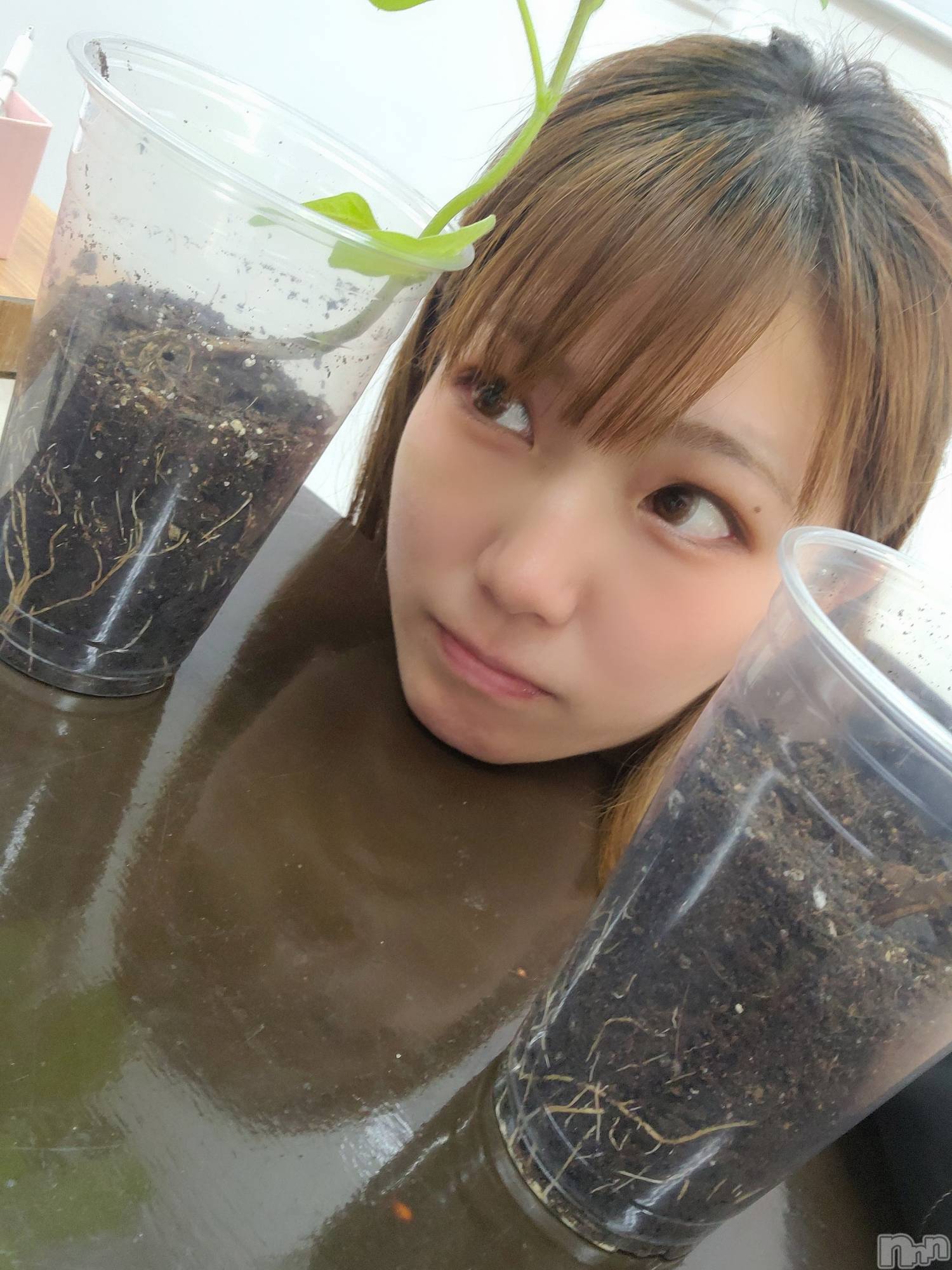 åȥСȥ졡襤襤(ȥҥС磻磻) 2024ǯ613̥֥ĤΡ
