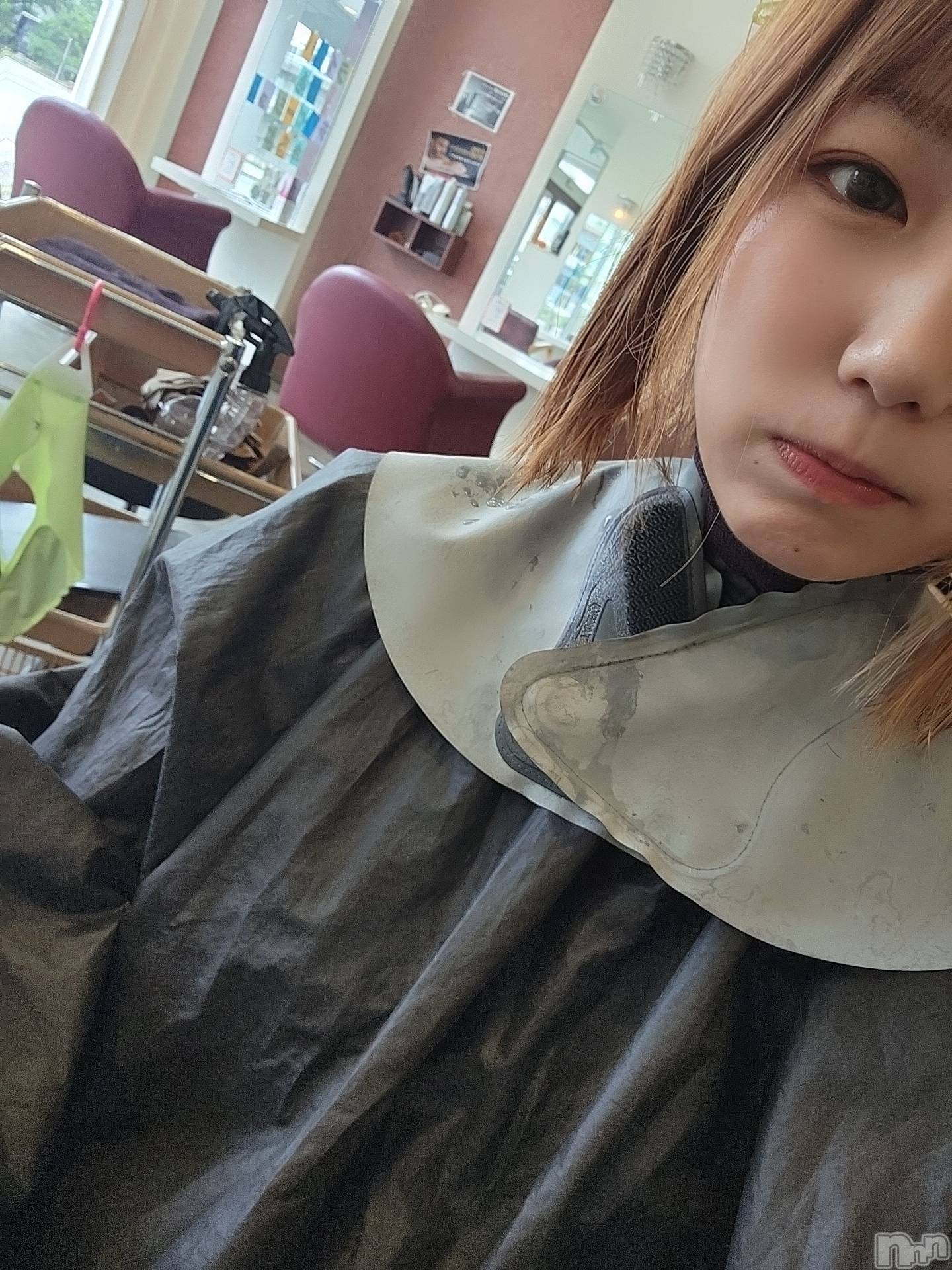 �����������������åȥС���ȥ����졡�襤�襤(��ȥ��ҥ��С��磻�磻) ��2026ǯ7��13���̥�֥����֤פ�󤬤ʤ����