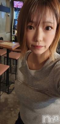 ����������ʥå��������륺�С����ʥå�����ܤ�̡����������3��Ź(���ʥå�����ܥ���� �˥����������ޥ� ���󥴥��ƥ�) ����(31)��9��18���̥�֥����֥���������������🎯��