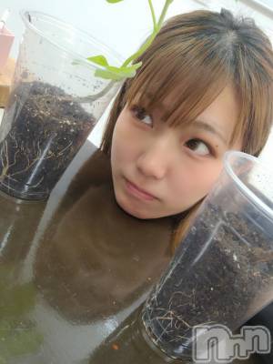 åȥСȥ졡襤襤(ȥҥС磻磻) (30)613̥֥ĤΡ