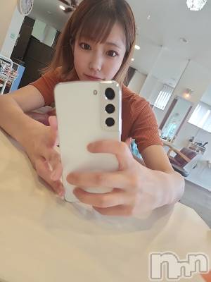 ����������ʥå��������륺�С����ʥå�����ܤ�̡����������3��Ź(���ʥå�����ܥ���� �˥����������ޥ� ���󥴥��ƥ�) ����(31)��6��28���̥�֥�����🎃🎃🎃🎃🎃��