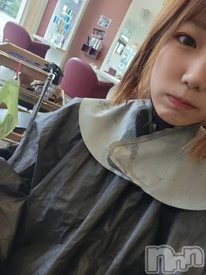 ����������ʥå��������륺�С����ʥå�����ܤ�̡����������3��Ź(���ʥå�����ܥ���� �˥����������ޥ� ���󥴥��ƥ�) ����(31)��7��13���̥�֥����֤פ�󤬤ʤ����
