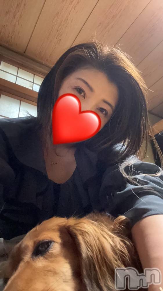 上越デリヘルHONEY(ハニー) ゆりな(46)の11月12日写メブログ「緊急告知🥰✨合言葉は‼️」