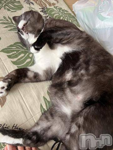 上越デリヘルHONEY(ハニー) りのん(19)の6月4日写メブログ「退勤です！」