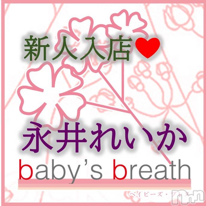 󥺥baby's breath(٥ӡ ֥쥹) ʰ줤ڿۤ͡512ֱ̥֥ʰ줤Ǥꤤޤ