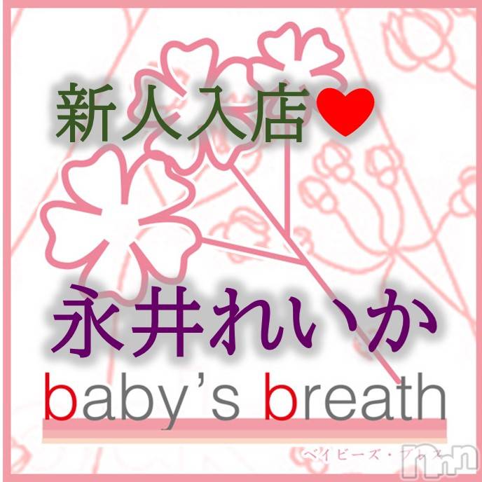 㡦ȯĥꥢ󥺥baby's breath(٥ӡ ֥쥹) ʰ줤512ֱ̥֥ʰ줤Ǥꤤޤ