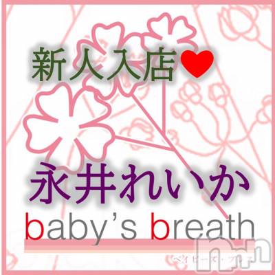 󥺥 baby's breath(٥ӡ ֥쥹) ʰ줤ڿۤ͡β(1)