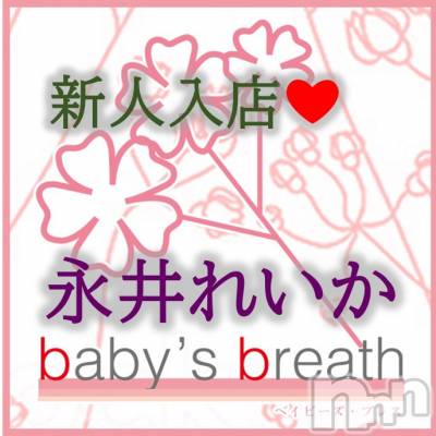 㡦ȯĥꥢ󥺥baby's breath(٥ӡ ֥쥹) ʰ줤512ֱ̥֥ʰ줤Ǥꤤޤ