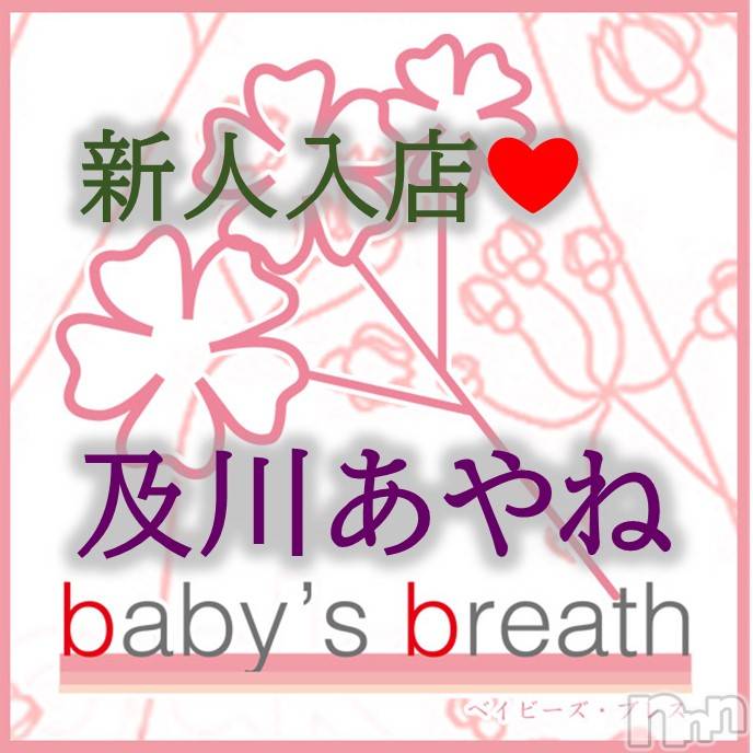 󥺥baby's breath(٥ӡ ֥쥹) 2024ǯ512̥֥֤ϤޤơͤǤ