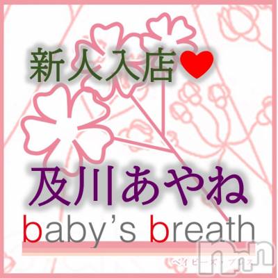 󥺥 baby's breath(٥ӡ ֥쥹) ͡ڿۤ͡β(1)