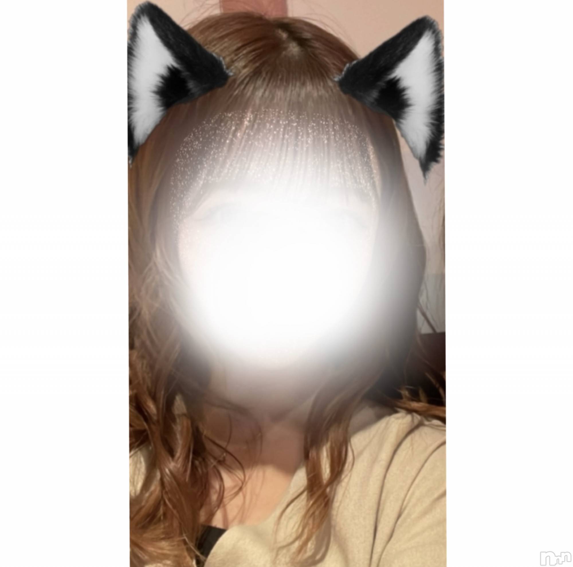 Ĺ襳ѥ˥󥯥Ĺѥ˥󥯥 UP -å-(ʥѥ˥󥯥֥å) 2024ǯ529̥֥繥ơġ