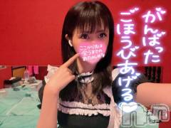 新潟ソープ新潟バニーコレクション(ニイガタバニーコレクション) ツキ(23)の2月9日写メブログ「シコシコするならココにおいで💓💓」