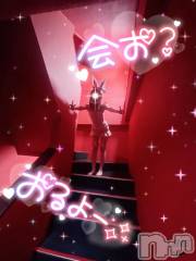 新潟ソープ新潟バニーコレクション(ニイガタバニーコレクション) ツキ(23)の2月14日写メブログ「次回22時30分~🈳」