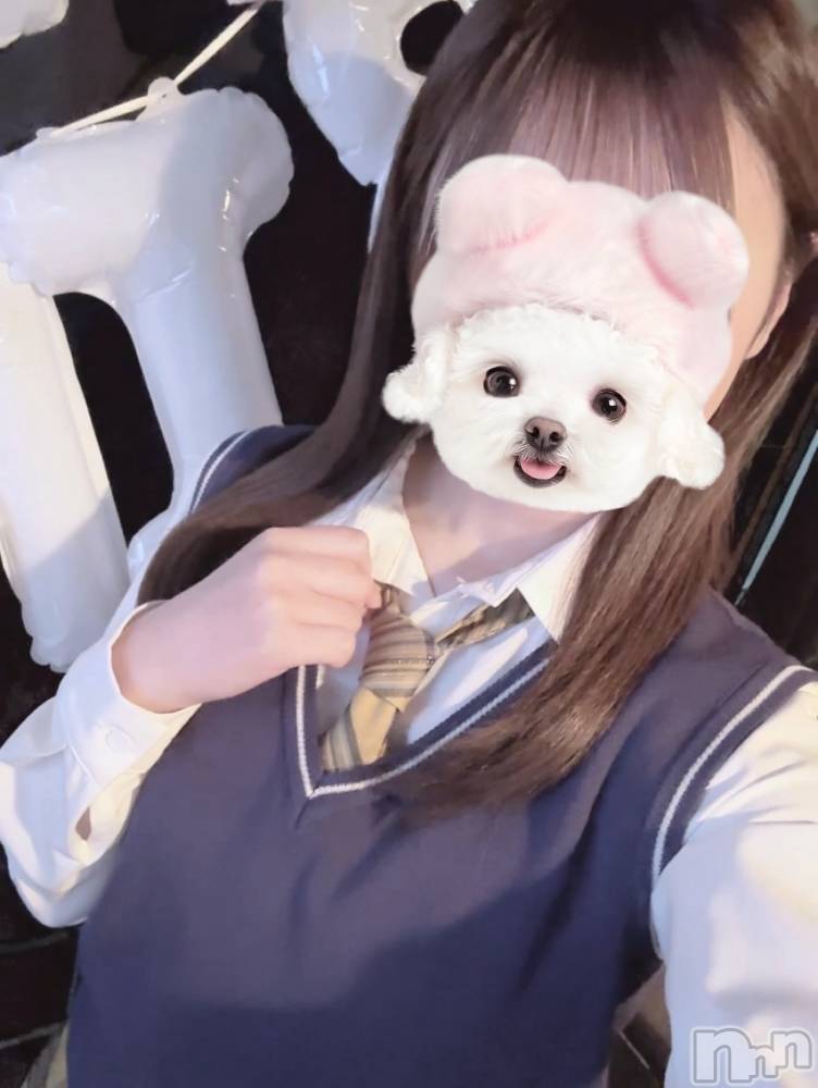 ���ܱ������ʥå��������륺�С�Girls bar Zenith(�����륺�С����˥�) �ޤ���2��12���̥�֥�����⑅︎ᩥ𞄵•ܸ · •ܸ⑅︎ᩥ𞄵��